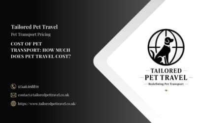 Cost of Pet Transport: How Much Does Pet Travel Cost?