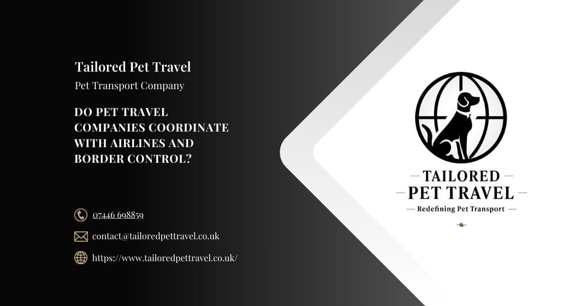 Do Pet Travel Companies Coordinate with Airlines and Border Control - Tailored Pet Travel