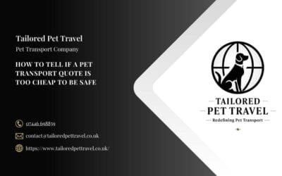 How to Tell If a Pet Transport Quote Is Too Cheap to Be Safe