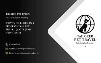 What’s Included in a Professional Pet Travel Quote (And What Isn’t)