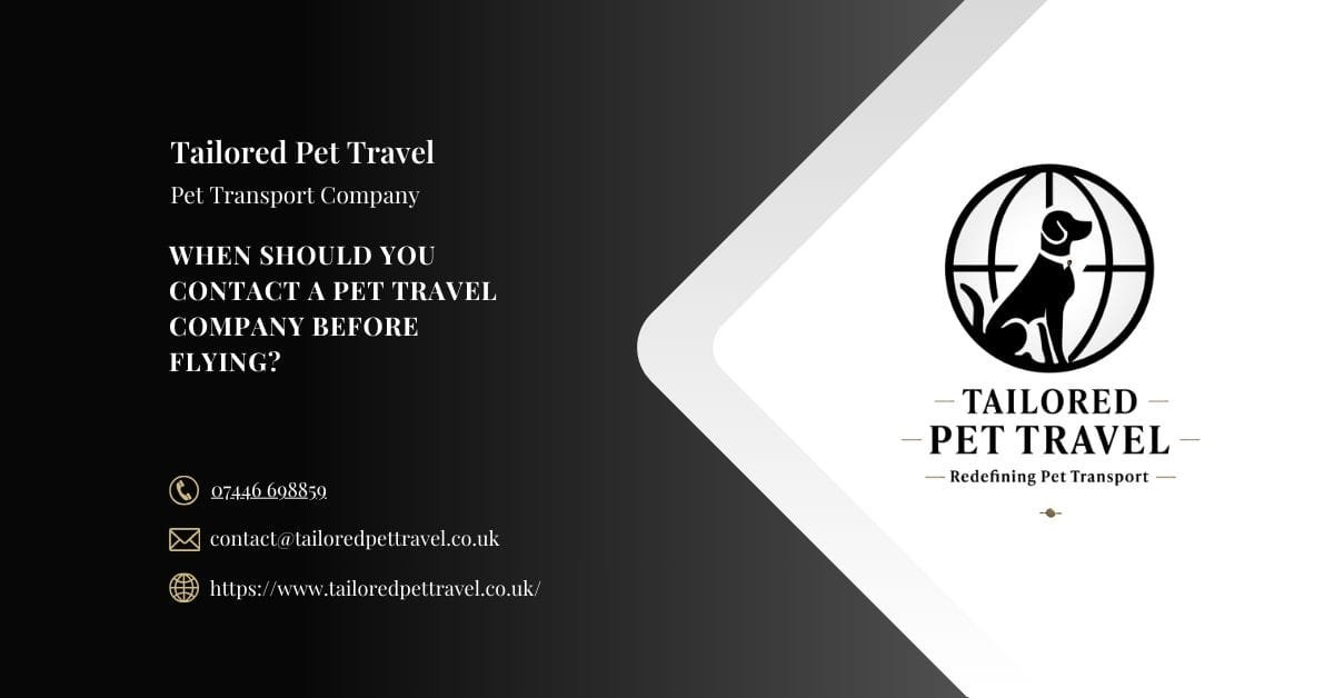 When Should You Contact a Pet Travel Company Before Flying - Tailored Pet Travel