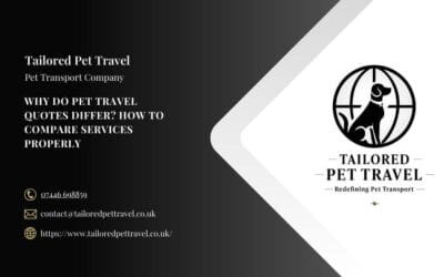 Why Do Pet Travel Quotes Differ? How to Compare Services Properly