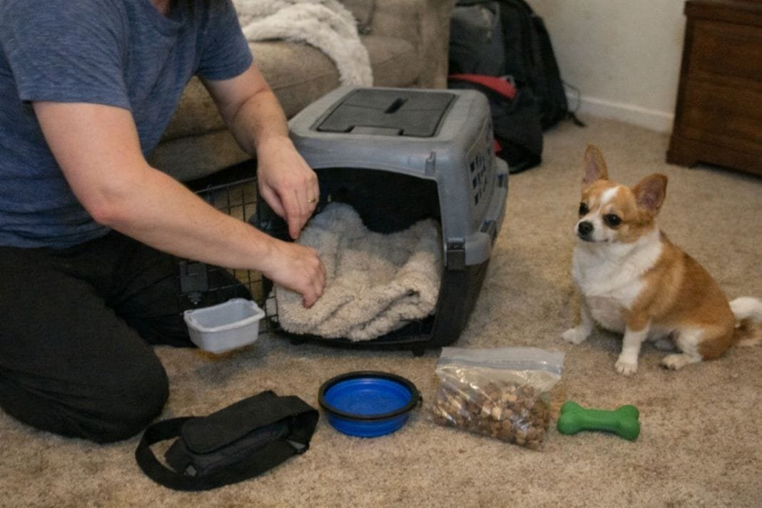 AI photo of a person at home preparing a travel crate with a small dog nearby