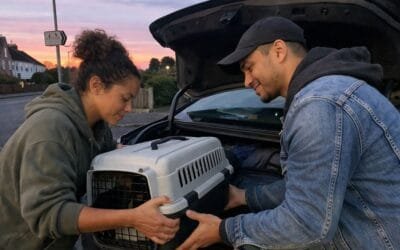 How to Get Your Pet to Europe This Summer If You’ve Left It Too Late to Plan