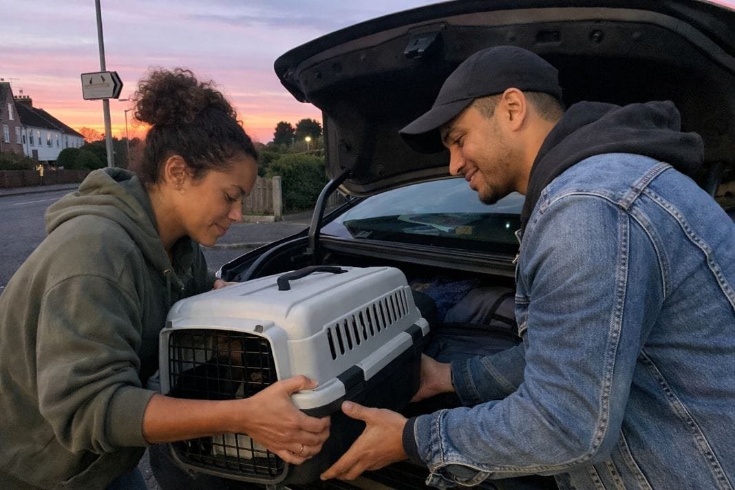 An illustrative image of a couple loading their pet carrier into the boot of their car An illustrative image of a couple loading their pet carrier into the boot of their car