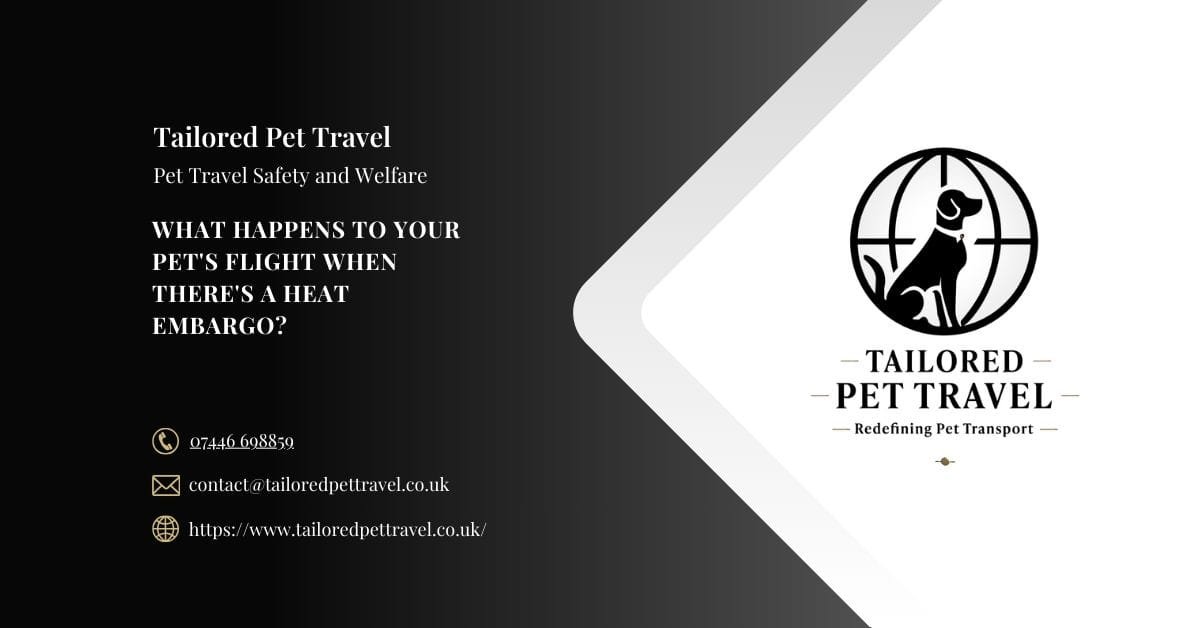 What Happens to Your Pet Flight When There is a Heat Embargo - Tailored Pet Travel