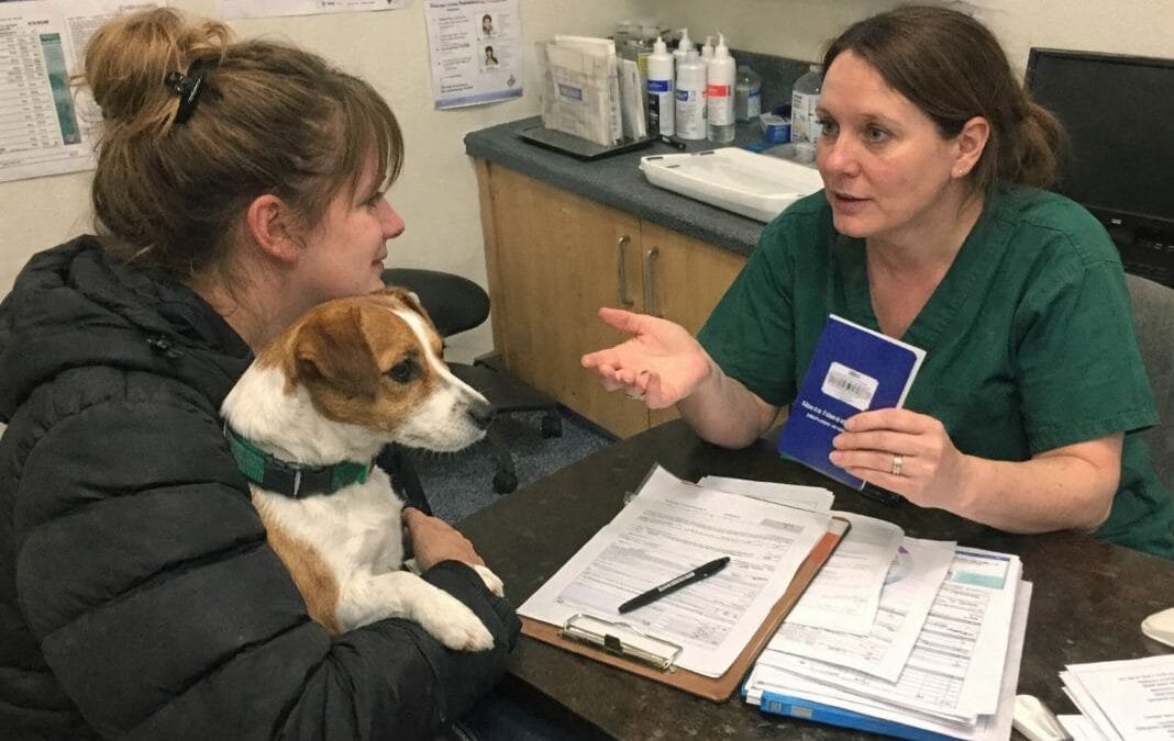 How Far In Advance Should Pet Travel Be Booked From The UK?