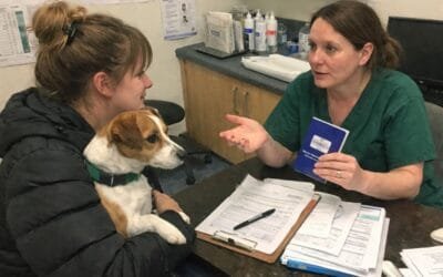 How Far In Advance Should Pet Travel Be Booked From The UK?