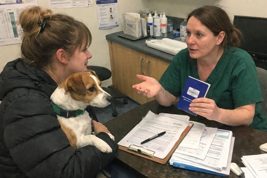 An illustrative image of a pet owner at a UK vet clinic holding their dog while discussing travel paperwork with a veterinarian