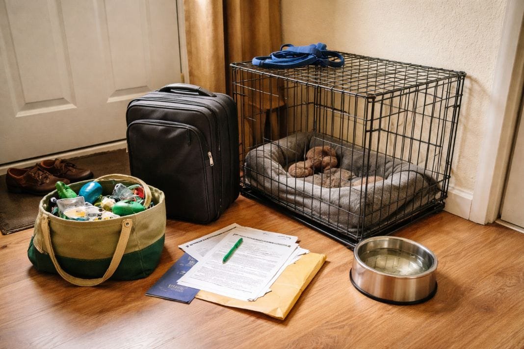 An illustrative image of a suitcase and pet supplies ready by the door in a modest UK flat