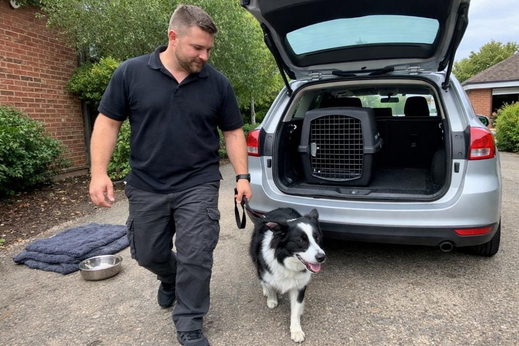 handler and dog at an open car trunk - Illustrative Image