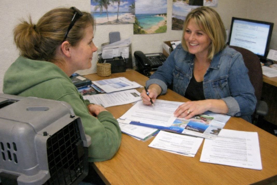 An illustrative image of a pet owner speaking with a travel consultant at a desk with documents and a pet crate nearby