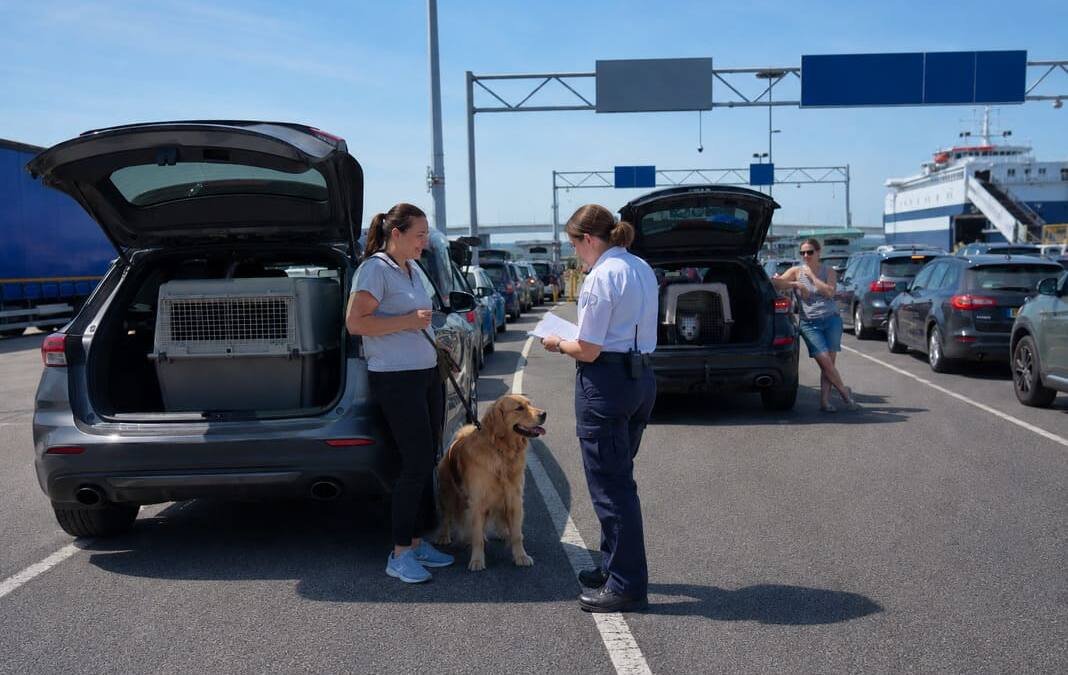 Moving More Than Five Pets From the UK: When a Personal Move Becomes a Commercial One