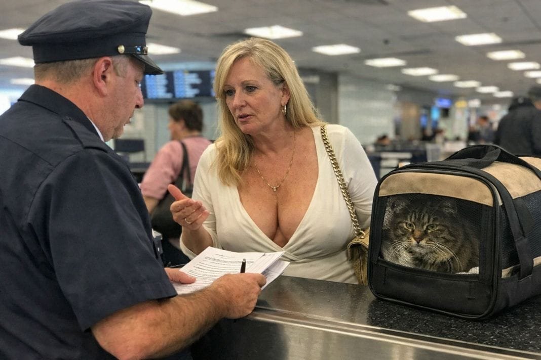 An illustrative image of a pet owner discussing paperwork with a uniformed official at an airport counter