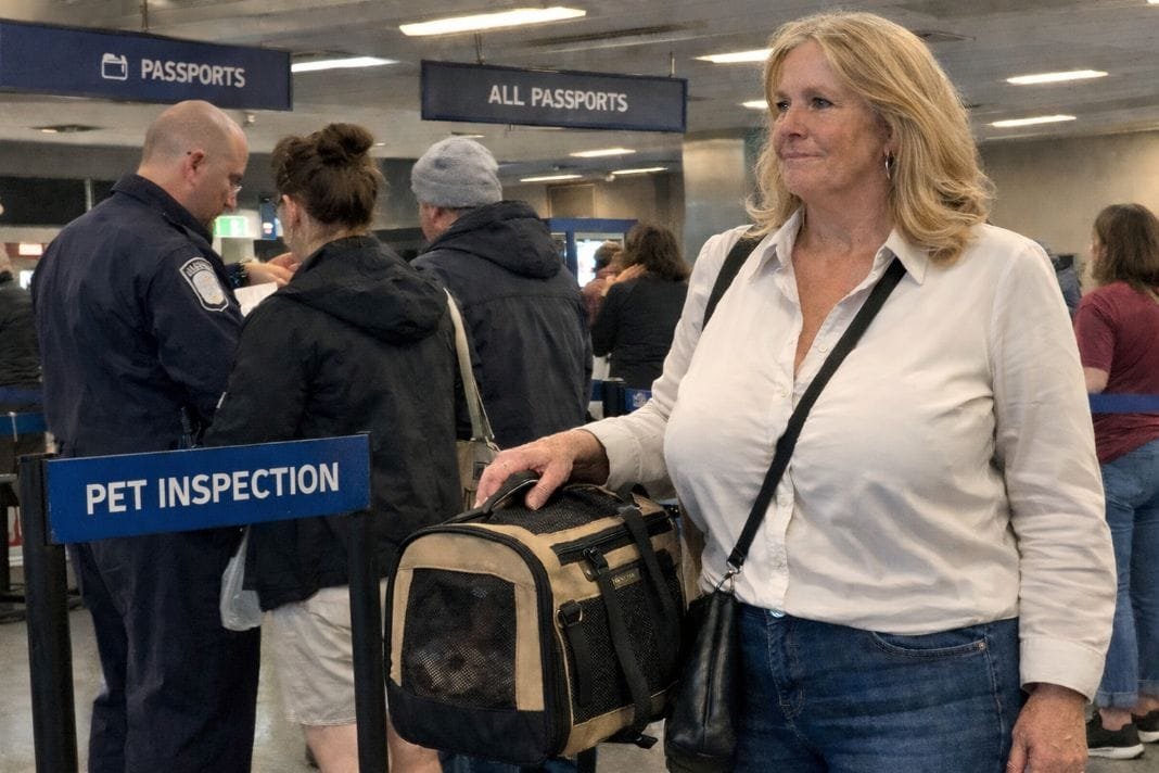 An illustrative image of a pet owner in a queue while an official reviews pet documents of people infront