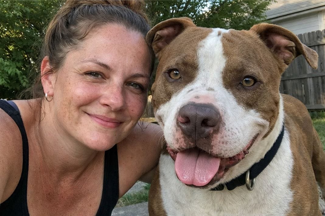 Pet owner smiling with happy dog before a trusted pet travel and relocation journey – Illustrative Image Pet owner smiling with happy dog before a trusted pet travel and relocation journey – Illustrative Image