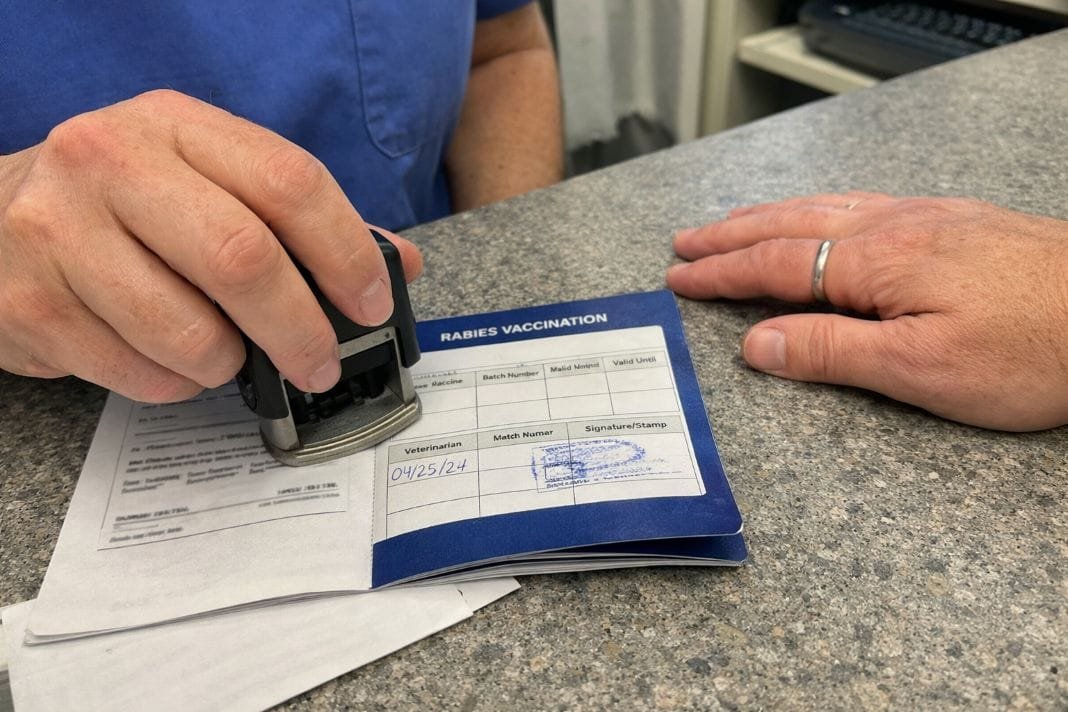 An illustrative image of a vet stamping a new rabies vaccination entry in a pet passport An illustrative image of a vet stamping a new rabies vaccination entry in a pet passport