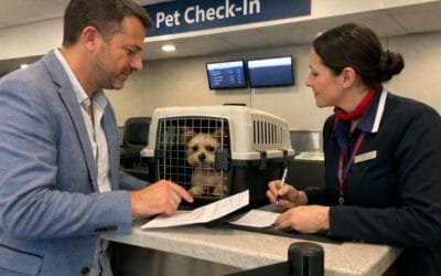 Your Pet’s Rabies Vaccination Is About to Expire — What Happens If You Don’t Rebook in Time?