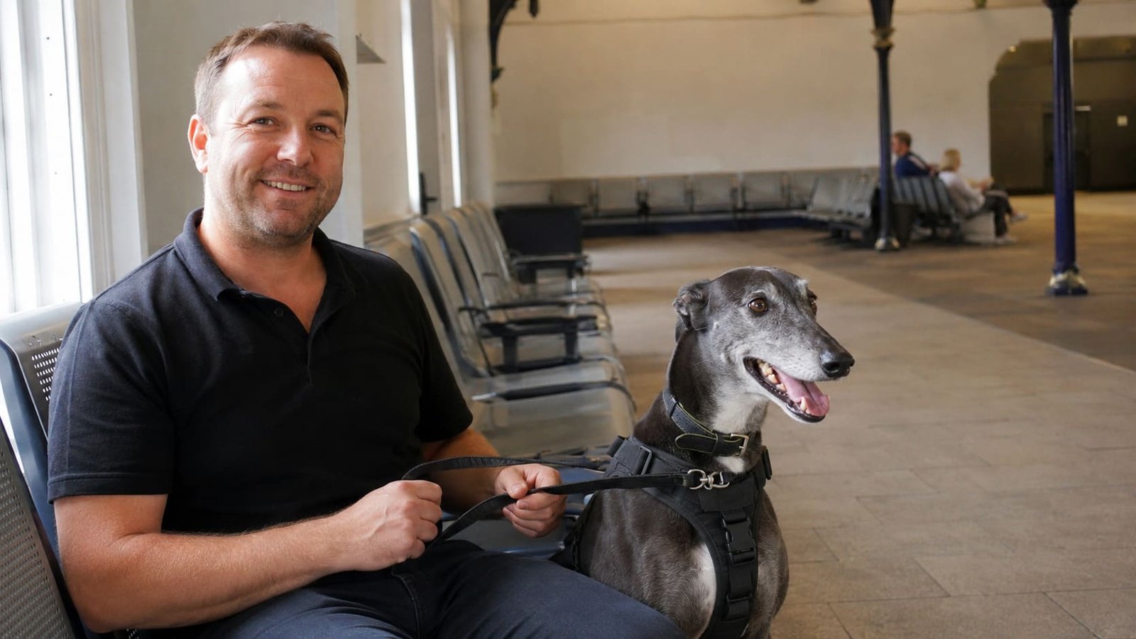 Handler keeps a greyhound secure during an airport transfer.