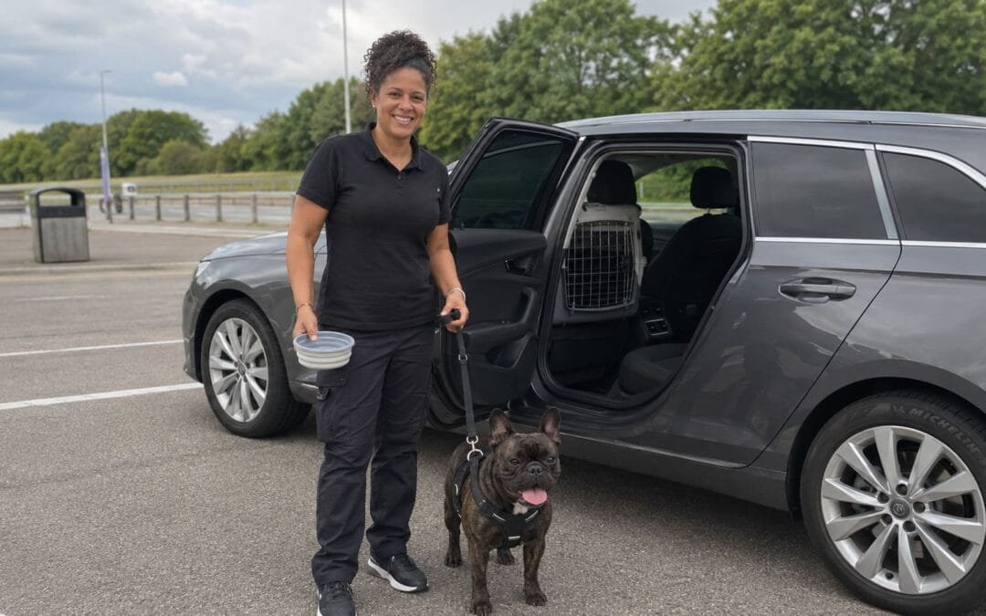 Pet Transport in London: What to Expect and What to Check Before You Book
