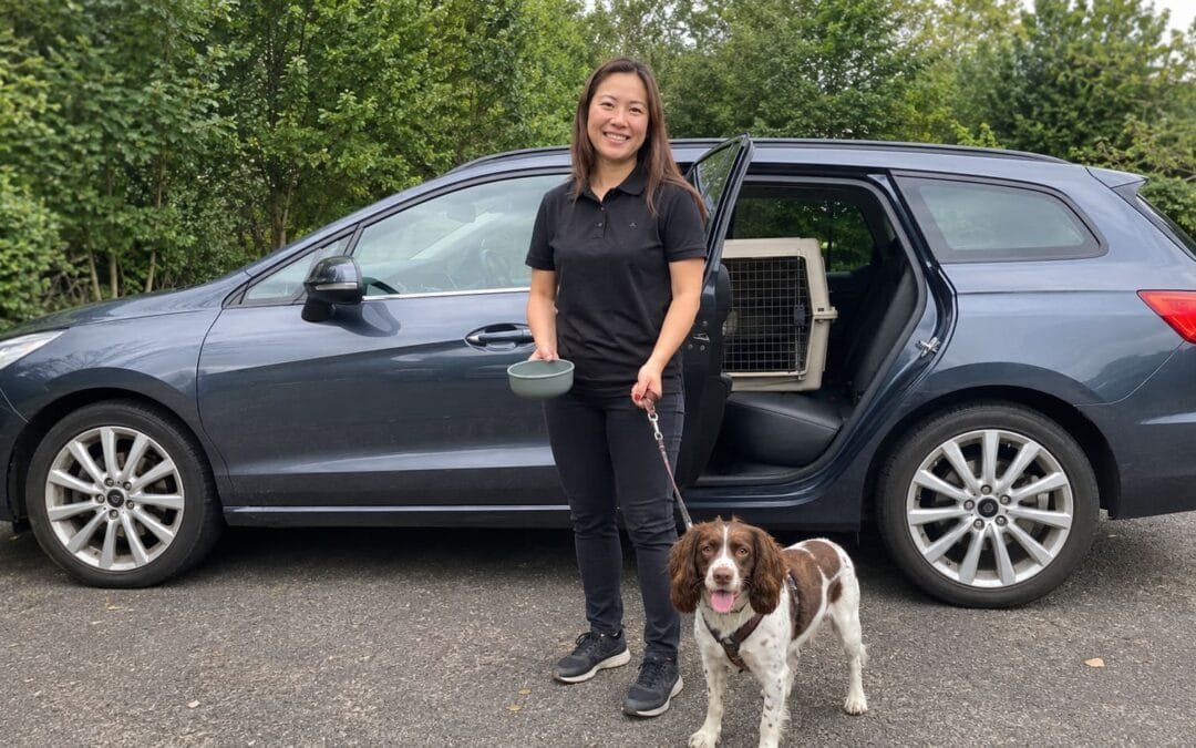 Your Employer Is Relocating You Abroad and You Have a Pet: Who Handles What?