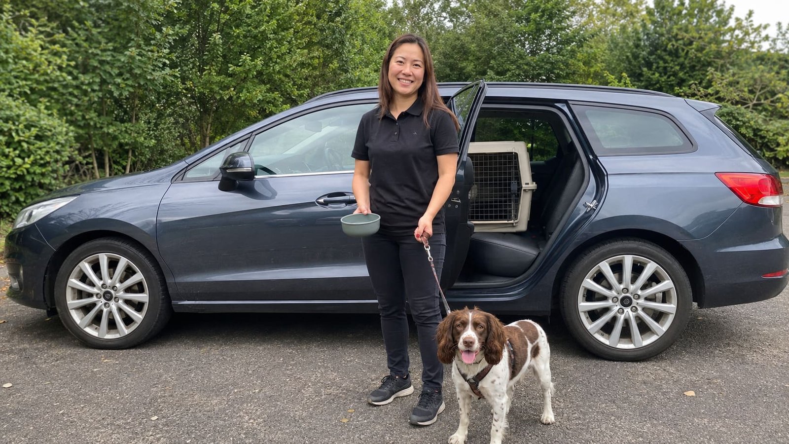 Pet chauffeur stands beside a harnessed dog and parked estate car. Pet chauffeur stands beside a harnessed dog and parked estate car.