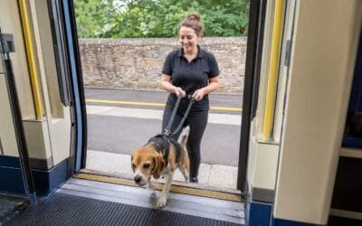 Can You Take Your Dog on a UK Train? Rules for Pets on National Rail, Avanti and GWR