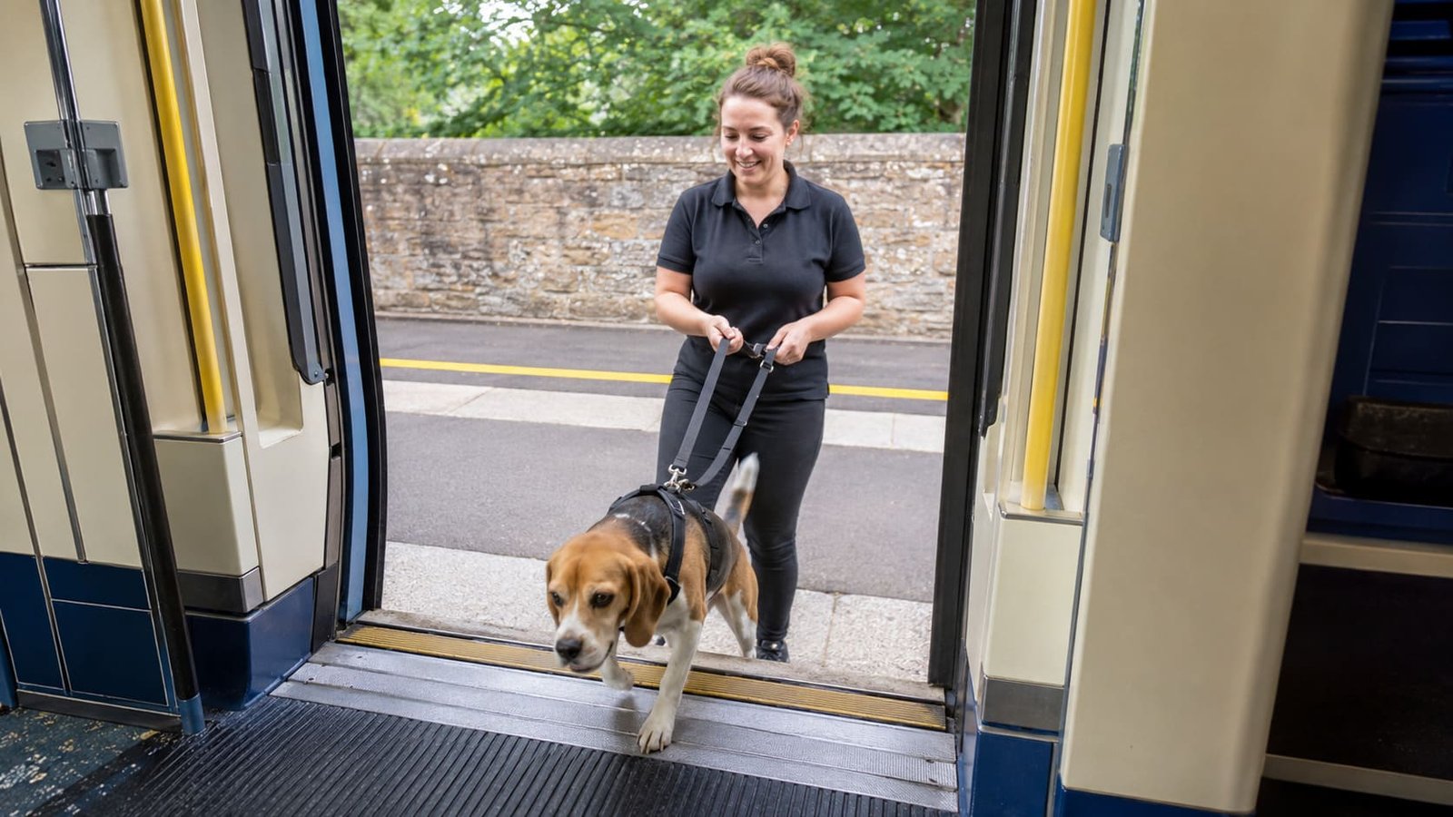 Pet travel handler guides a small dog safely onto a train. Pet travel handler guides a small dog safely onto a train.