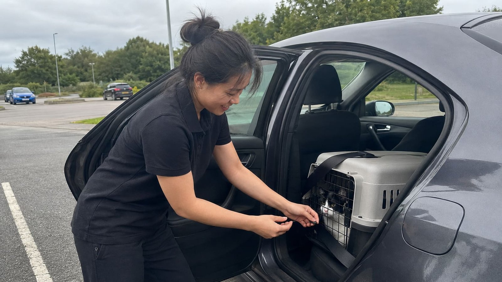 Pet travel handler secures a carrier with the vehicle seat belt. Pet travel handler secures a carrier with the vehicle seat belt.