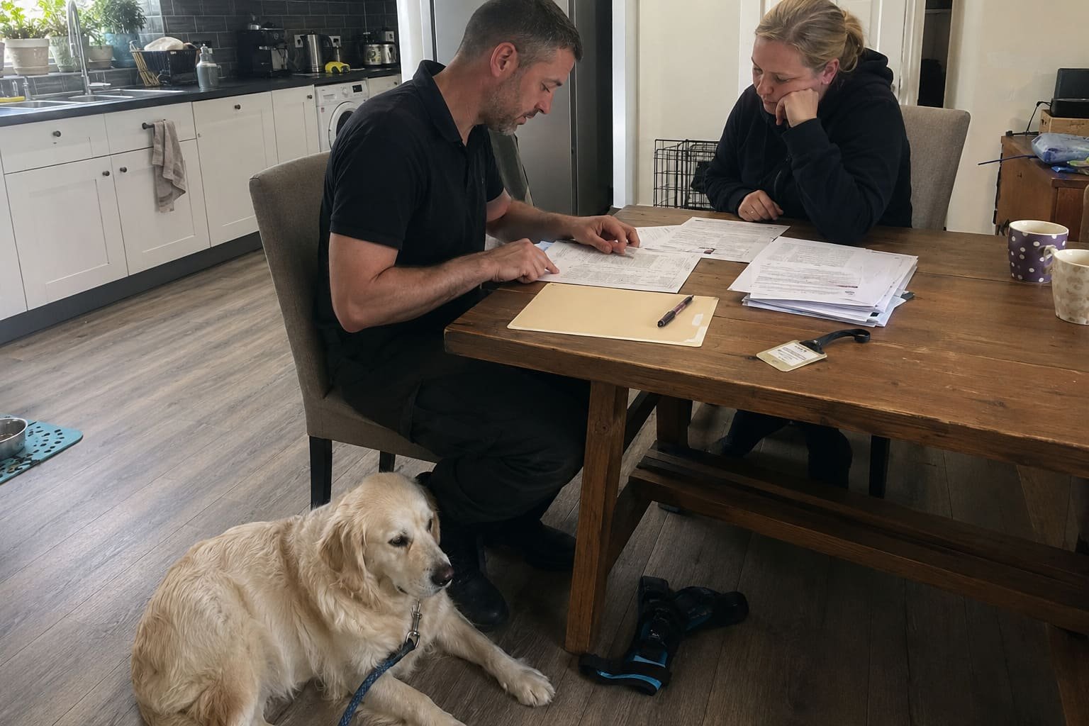 Emergency pet transport paperwork review with dog inside a London home