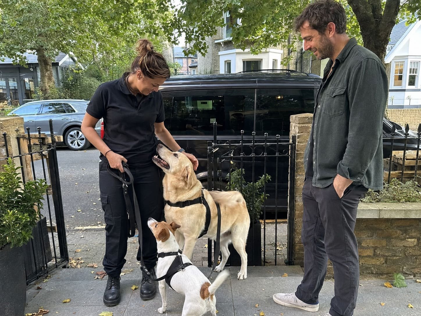 London pet transport collection for two dogs from the same household
