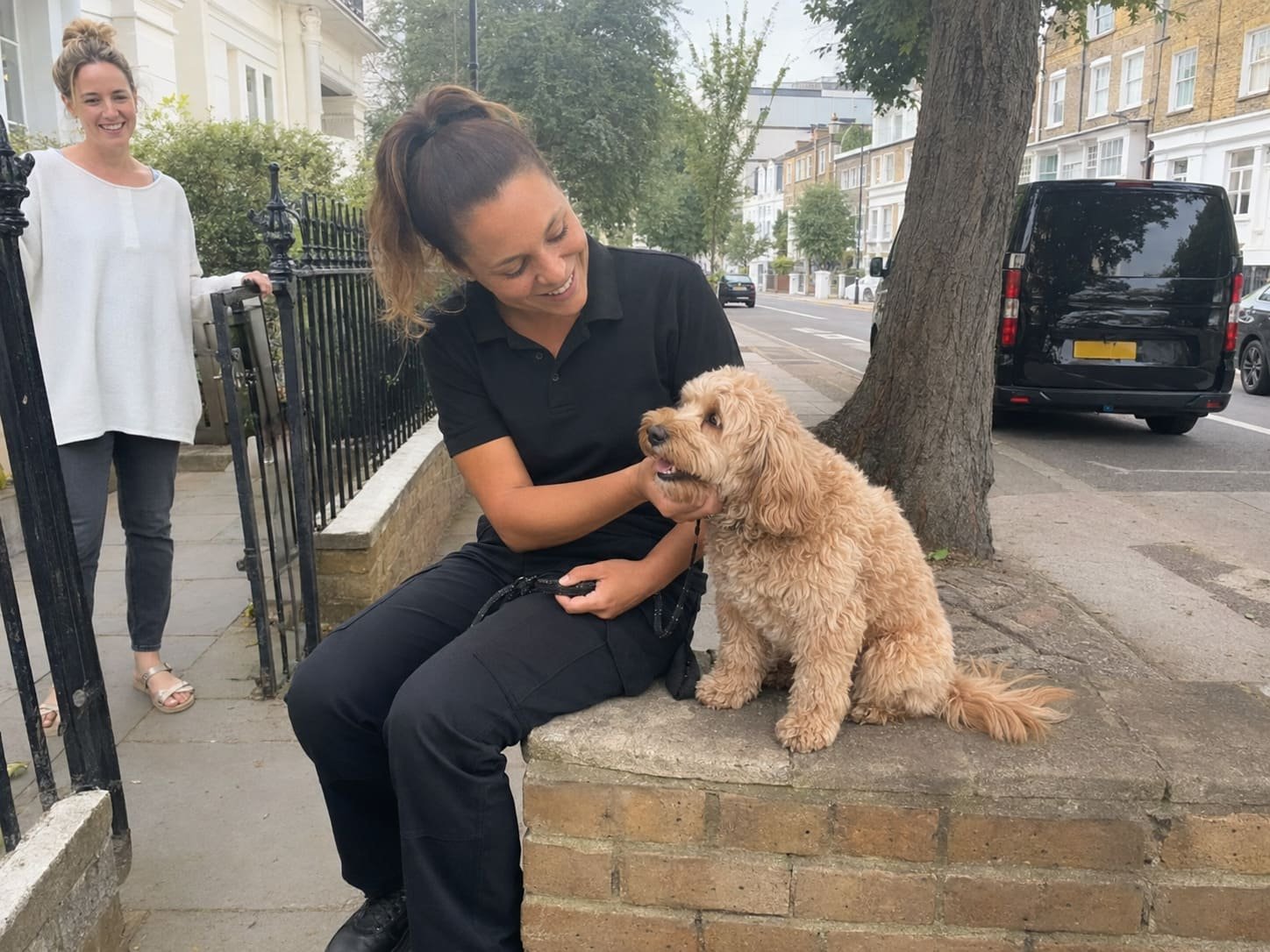 London pet transport professional reassuring a Cockapoo before its journey